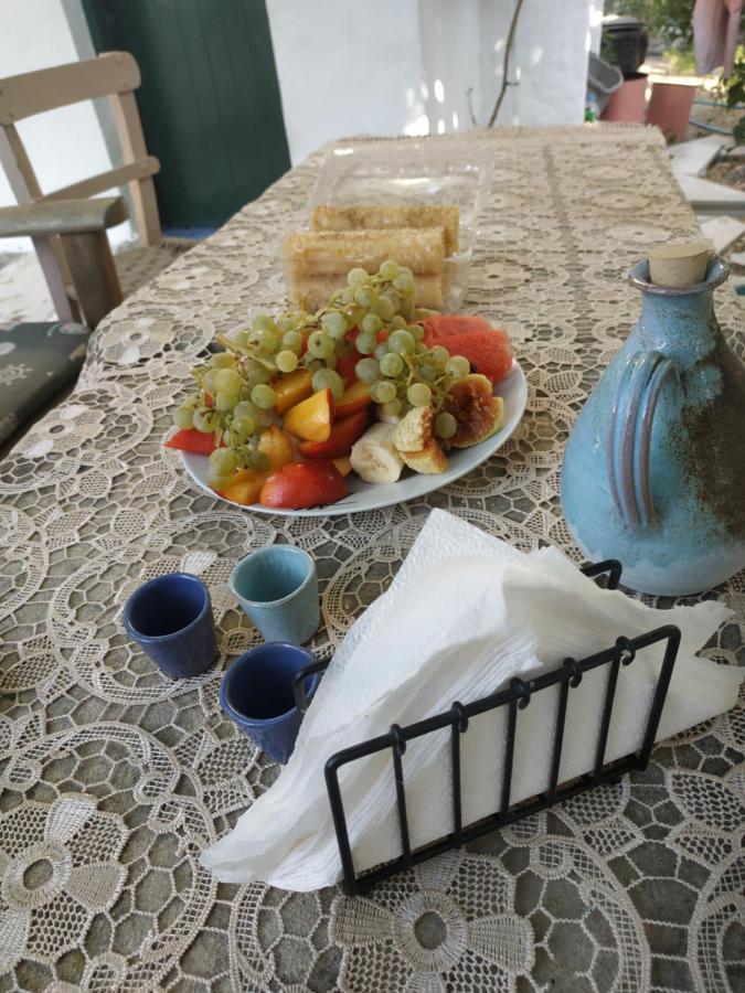 To Spiti Tou Papa Sto Vouno Guest House Kamilárion Eksteriør bilde