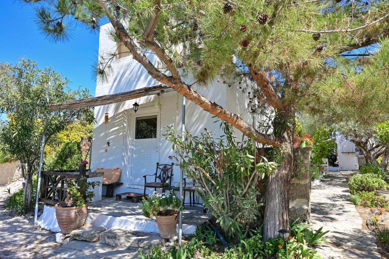 To Spiti Tou Papa Sto Vouno Guest House Kamilárion Eksteriør bilde